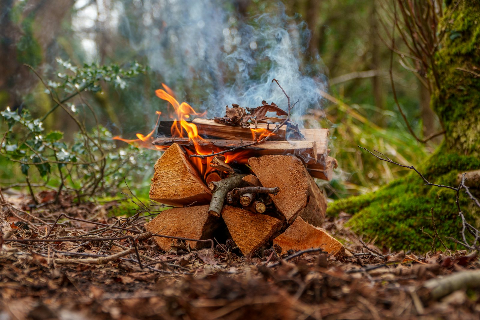 Bushcraft e sobrevivência na natureza