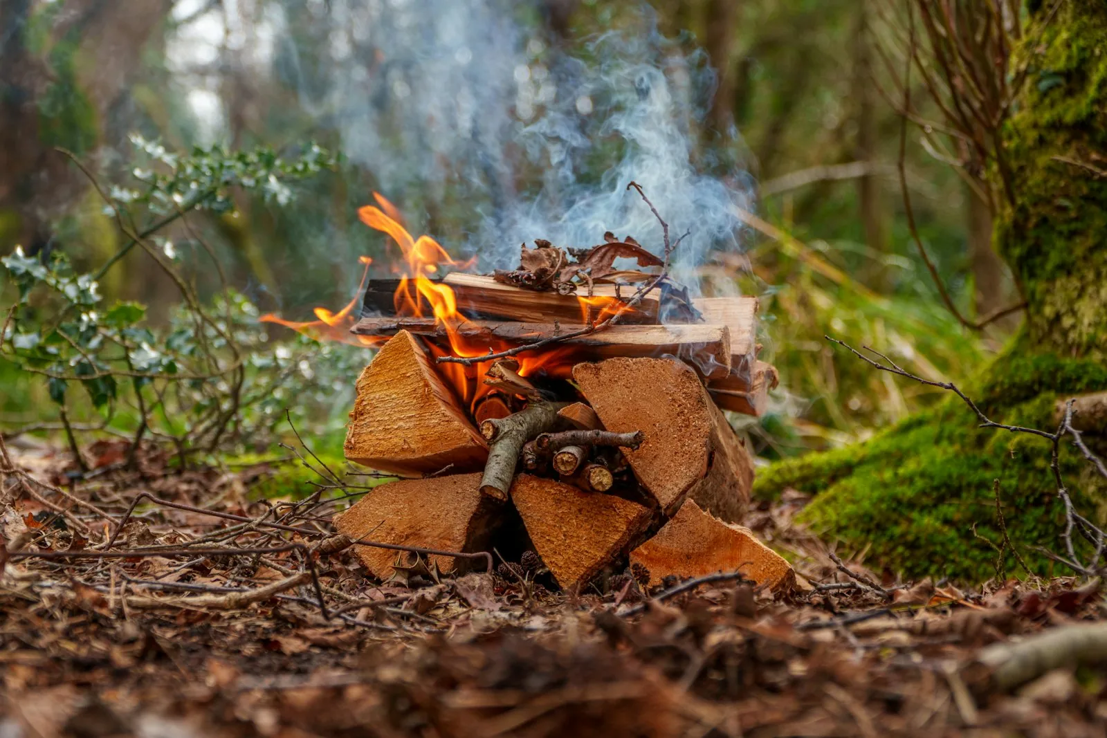Bushcraft e técnicas de sobrevivência na natureza